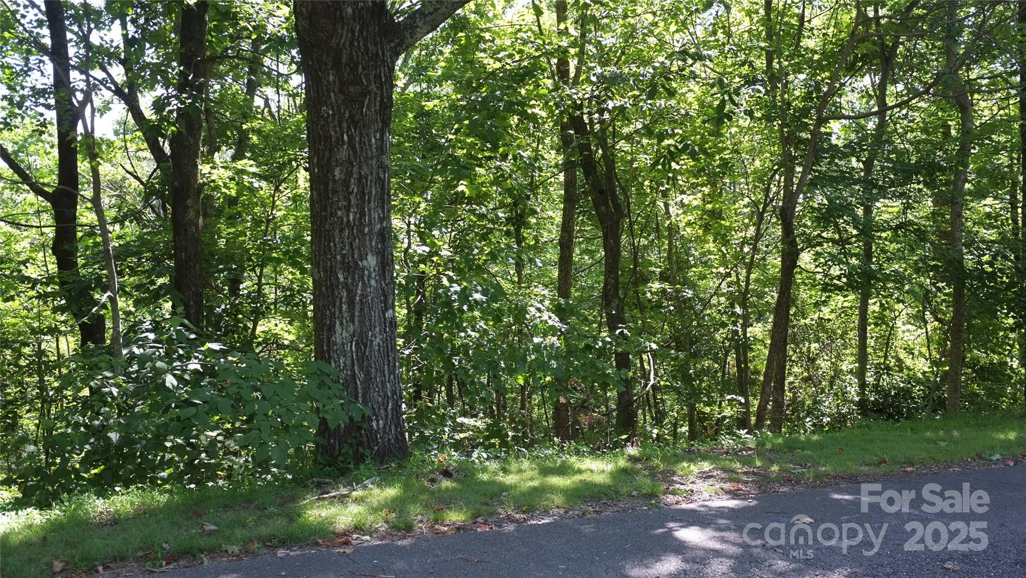 0 Sunset Ridge Drive Columbus NC 28722