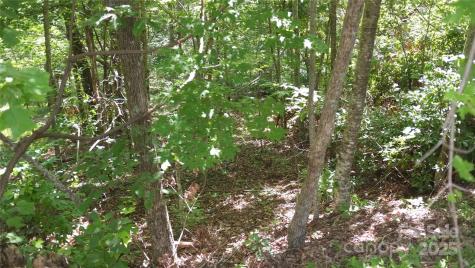0 Sunset Ridge Drive Columbus NC 28722