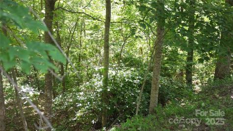 0 Sunset Ridge Drive Columbus NC 28722