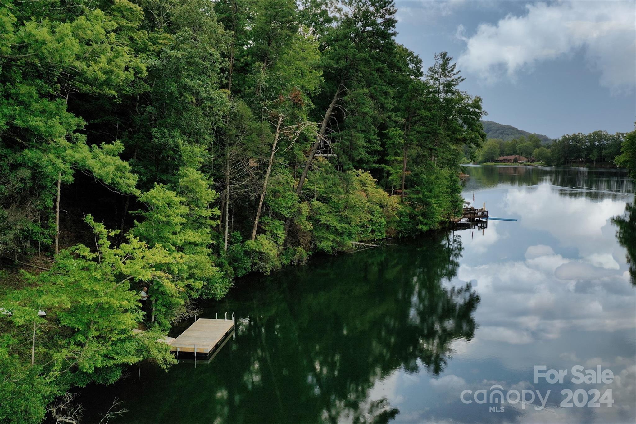 1733 Buffalo Creek Road Lake Lure NC 28746