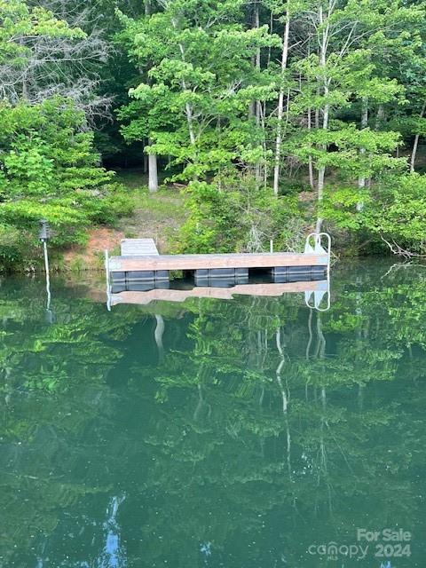 1733 Buffalo Creek Road Lake Lure NC 28746
