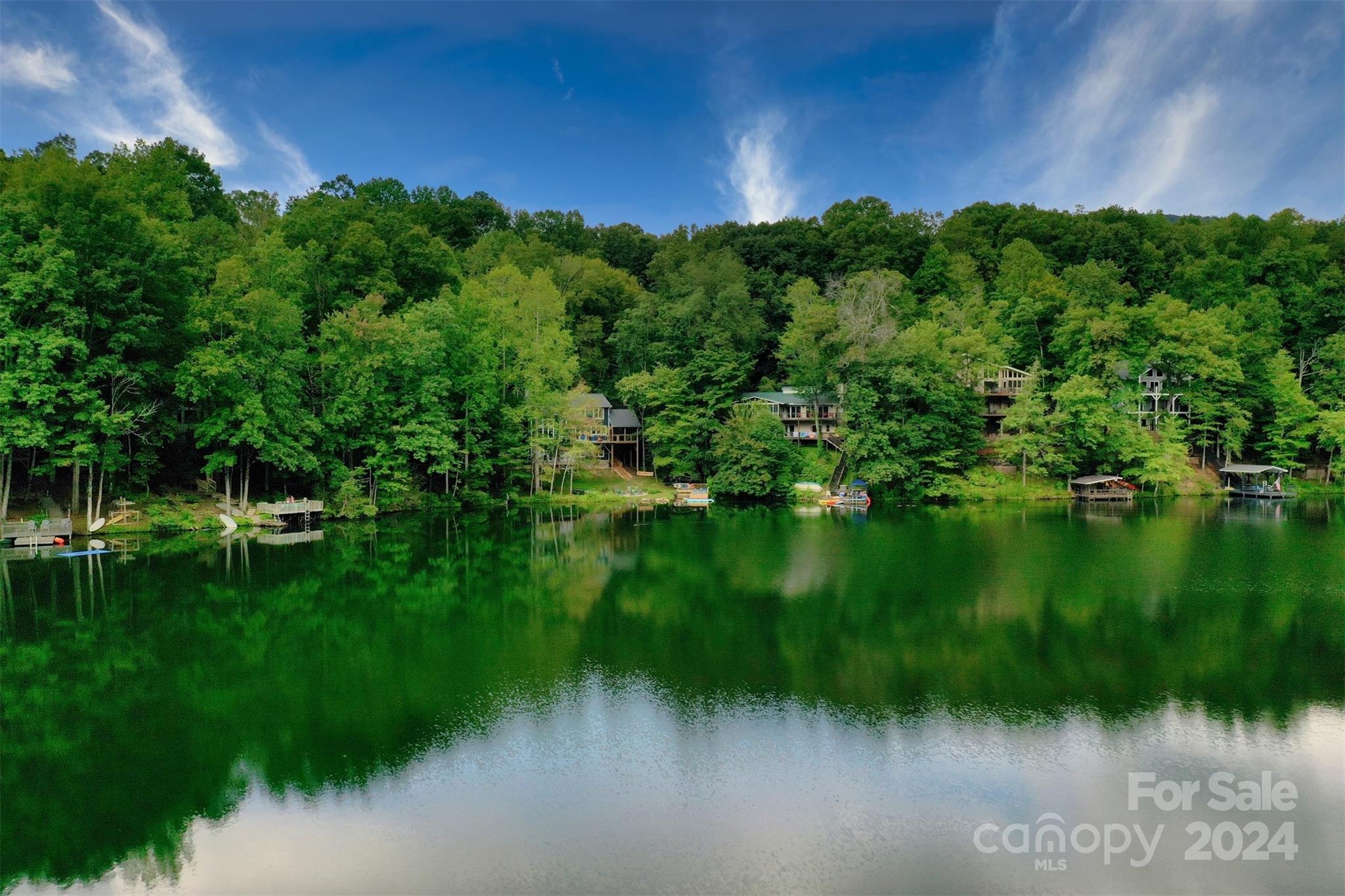 1733 Buffalo Creek Road Lake Lure NC 28746