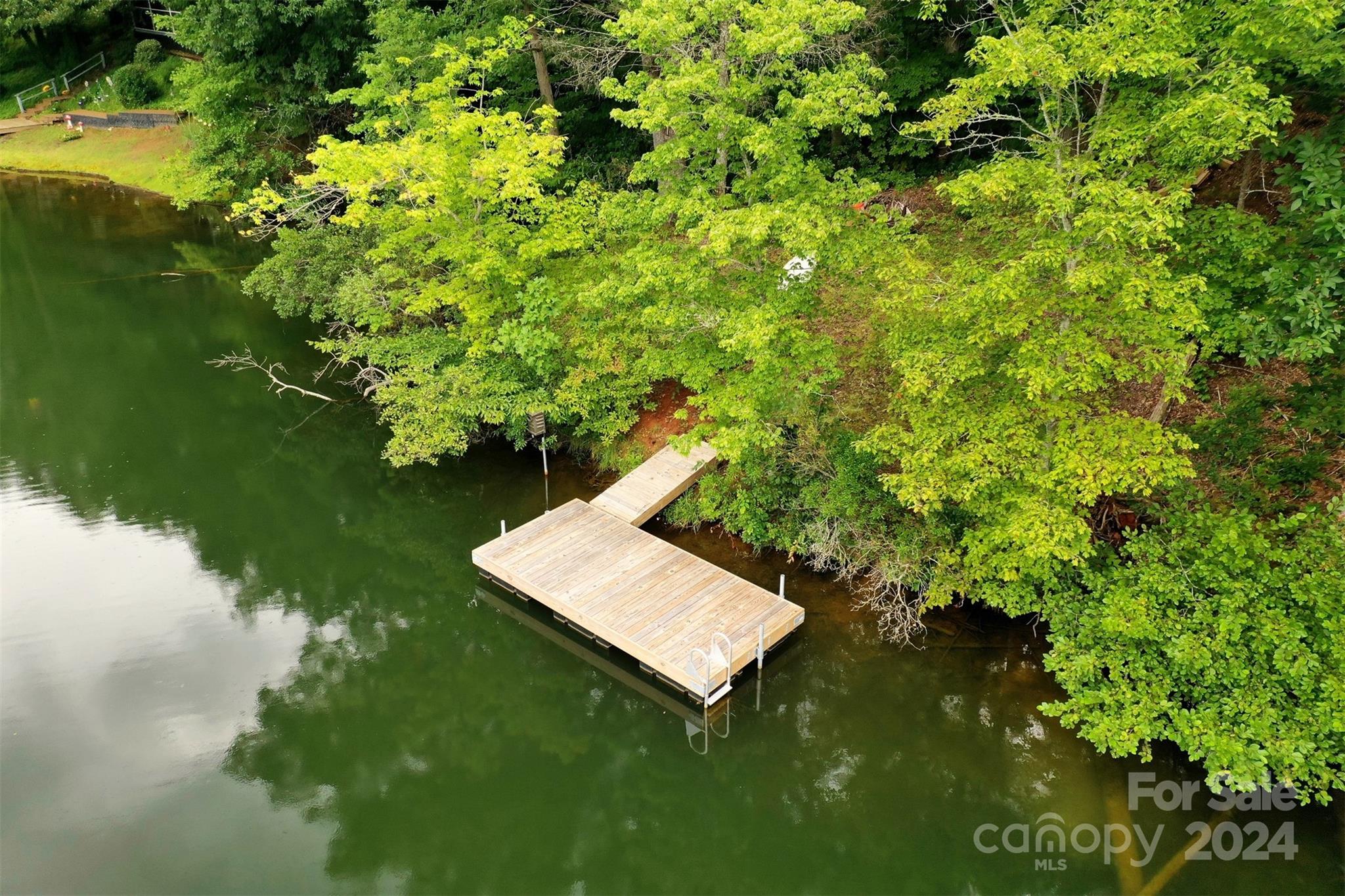 1733 Buffalo Creek Road Lake Lure NC 28746