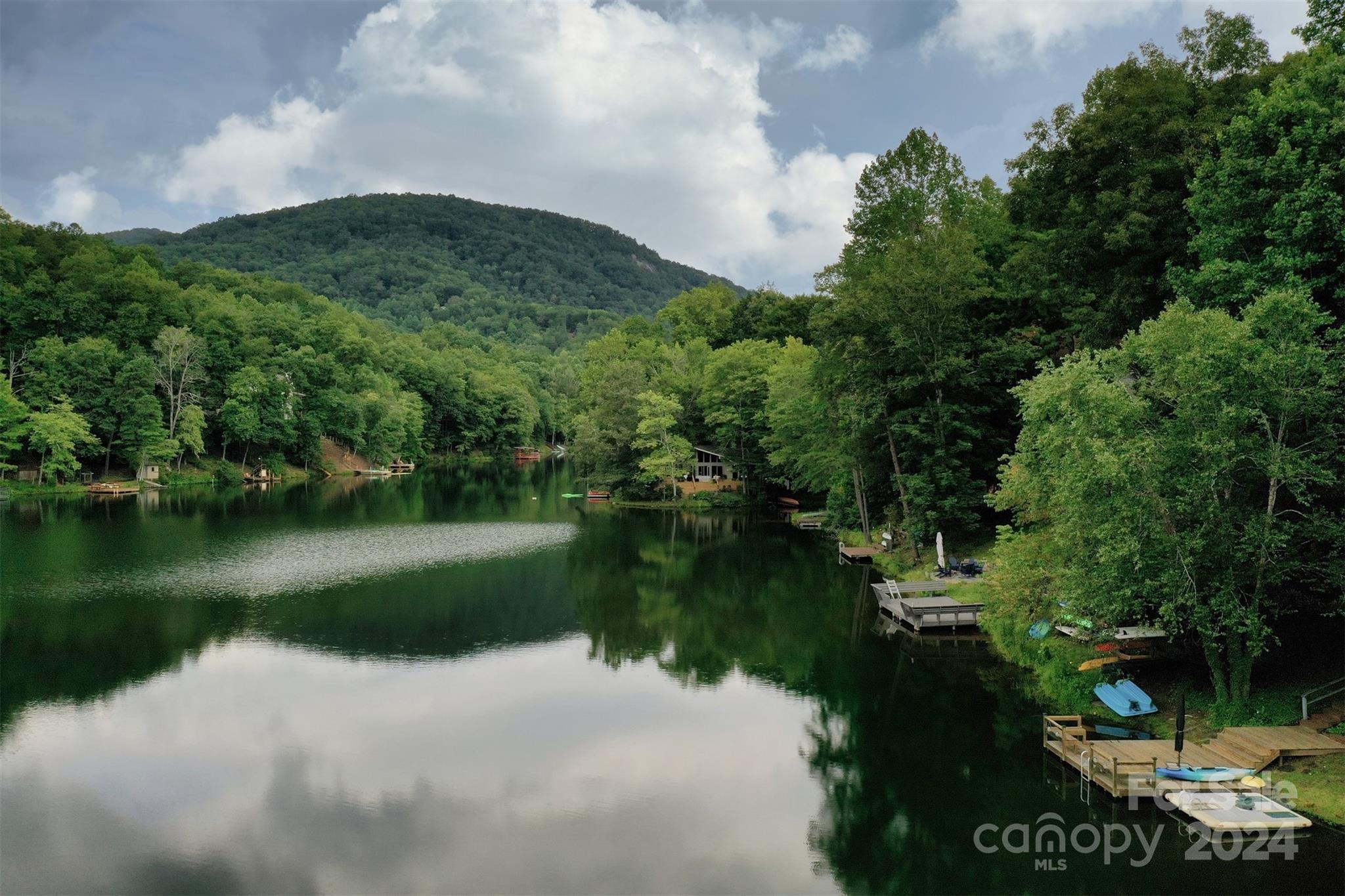 1733 Buffalo Creek Road Lake Lure NC 28746