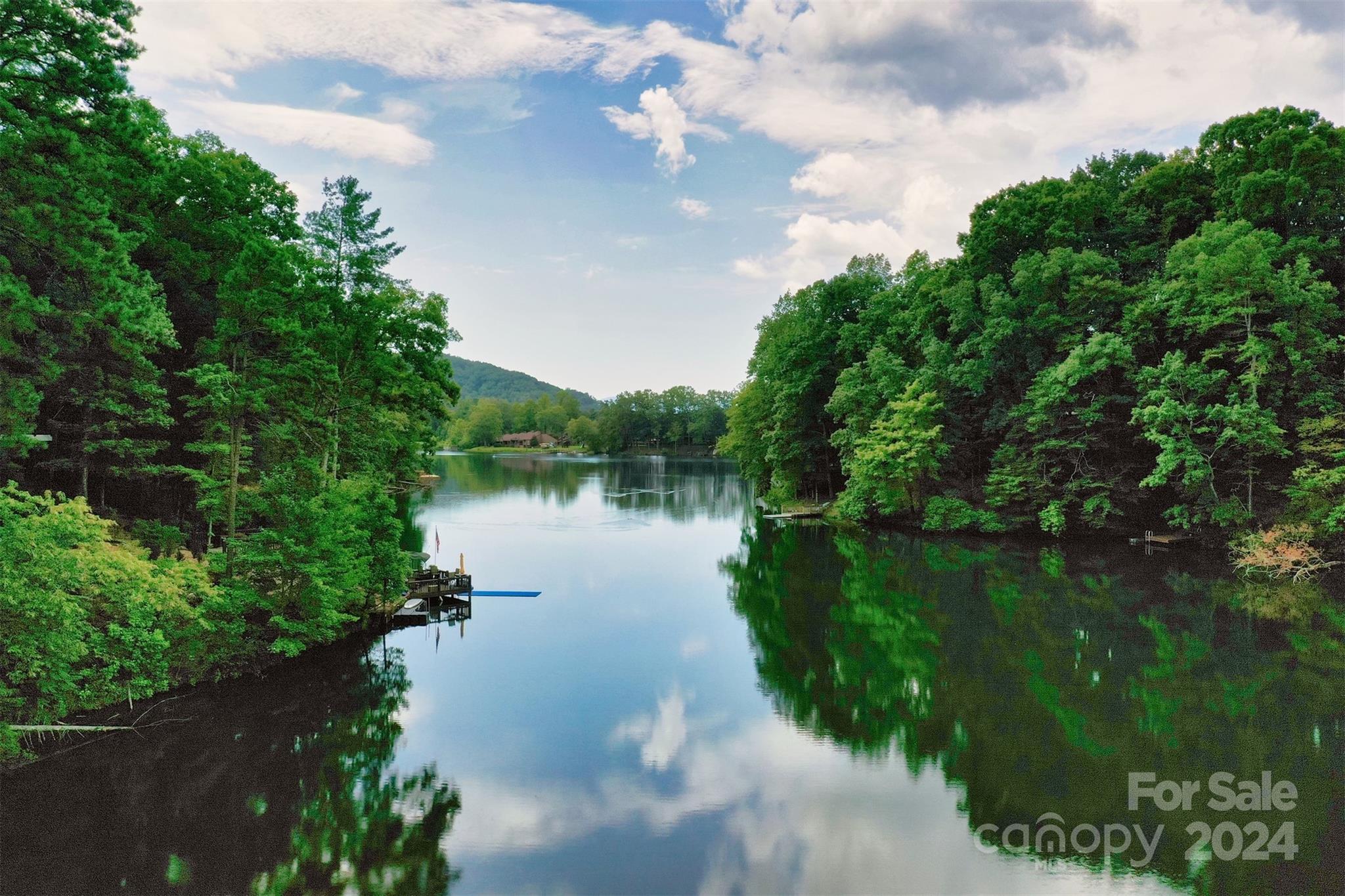 1733 Buffalo Creek Road Lake Lure NC 28746