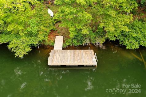 1733 Buffalo Creek Road Lake Lure NC 28746