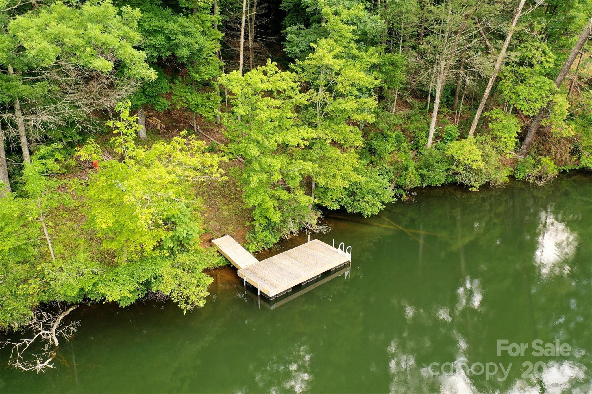 1733 Buffalo Creek Road Lake Lure NC 28746