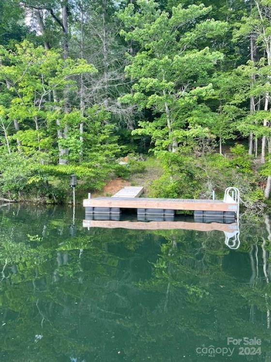 1733 Buffalo Creek Road Lake Lure NC 28746