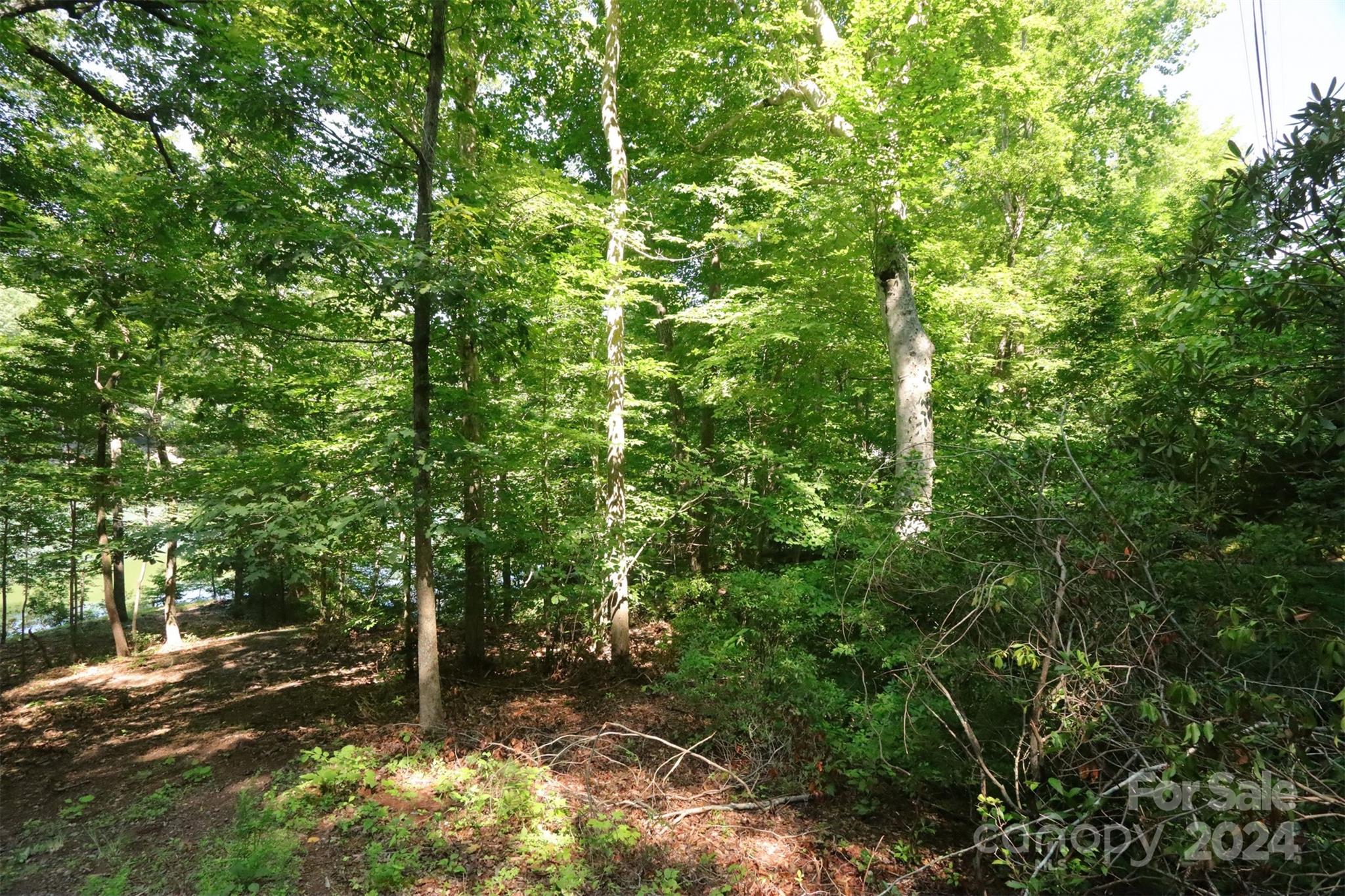 1733 Buffalo Creek Road Lake Lure NC 28746
