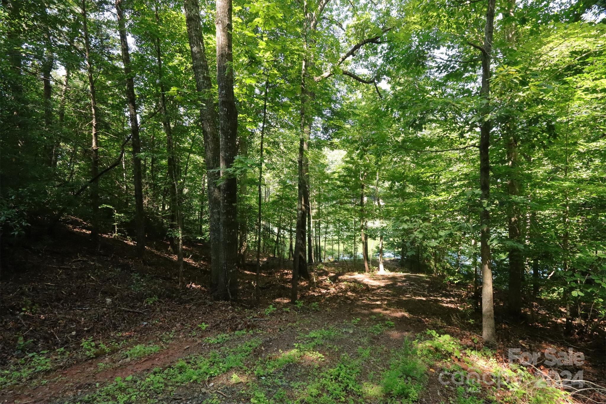 1733 Buffalo Creek Road Lake Lure NC 28746