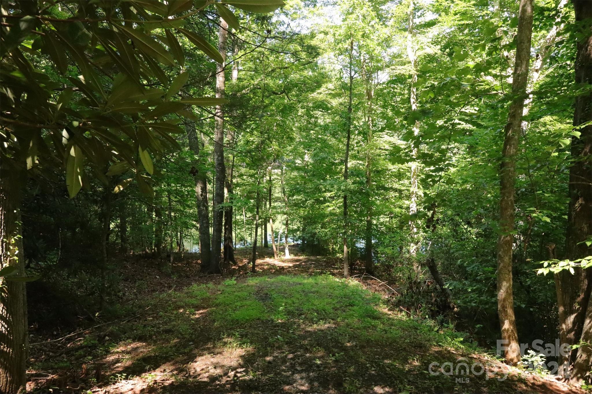 1733 Buffalo Creek Road Lake Lure NC 28746
