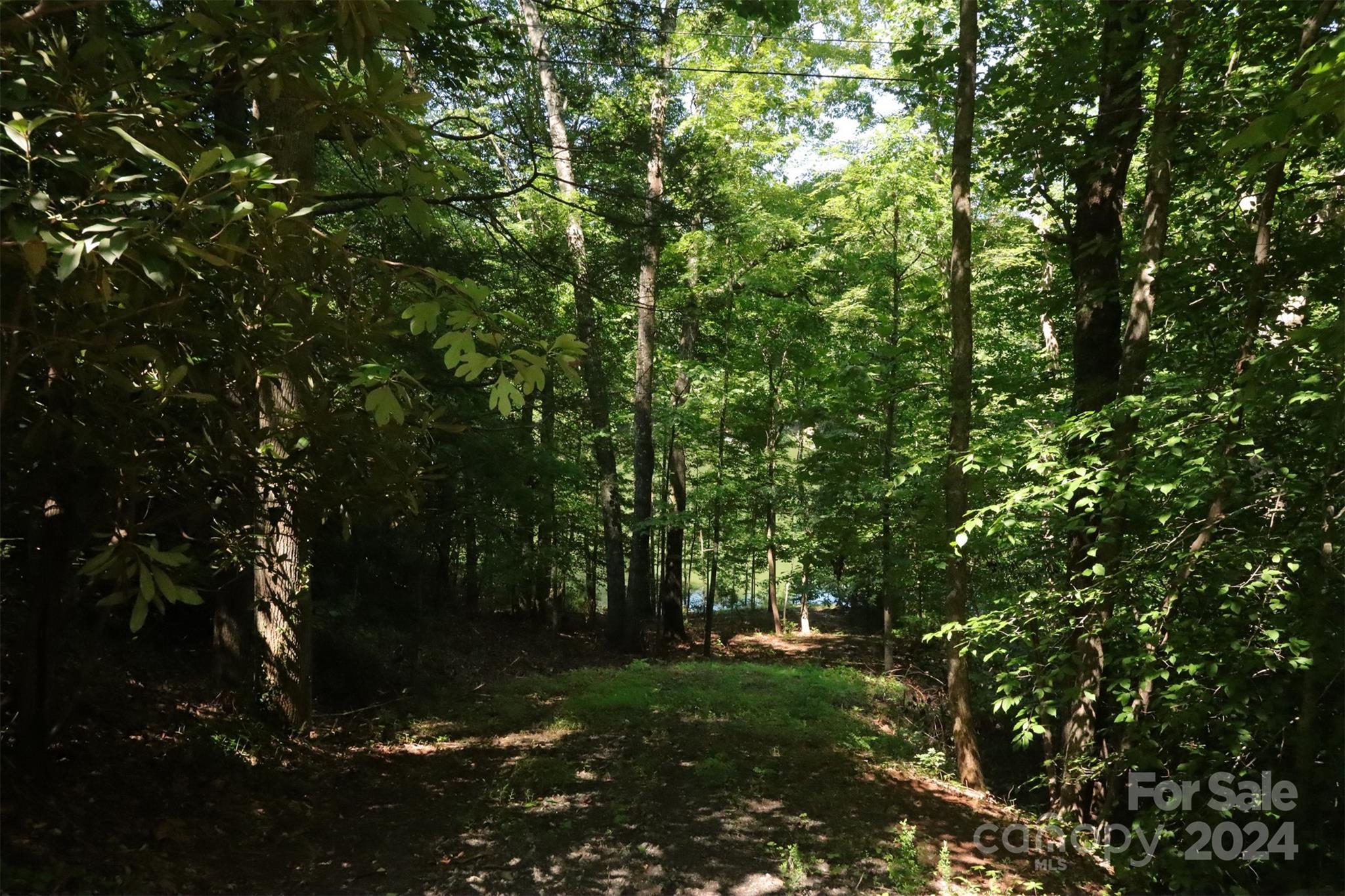 1733 Buffalo Creek Road Lake Lure NC 28746