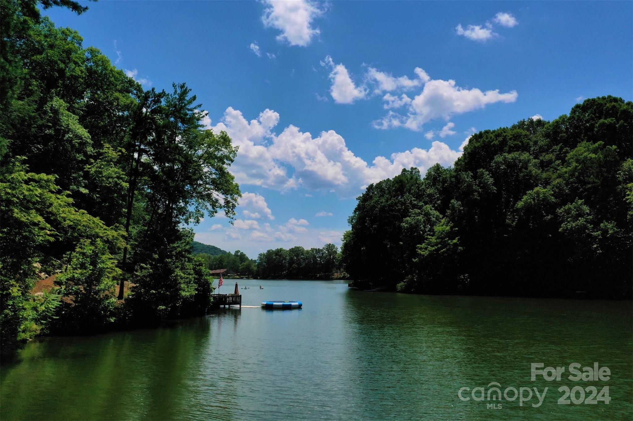 1733 Buffalo Creek Road Lake Lure NC 28746