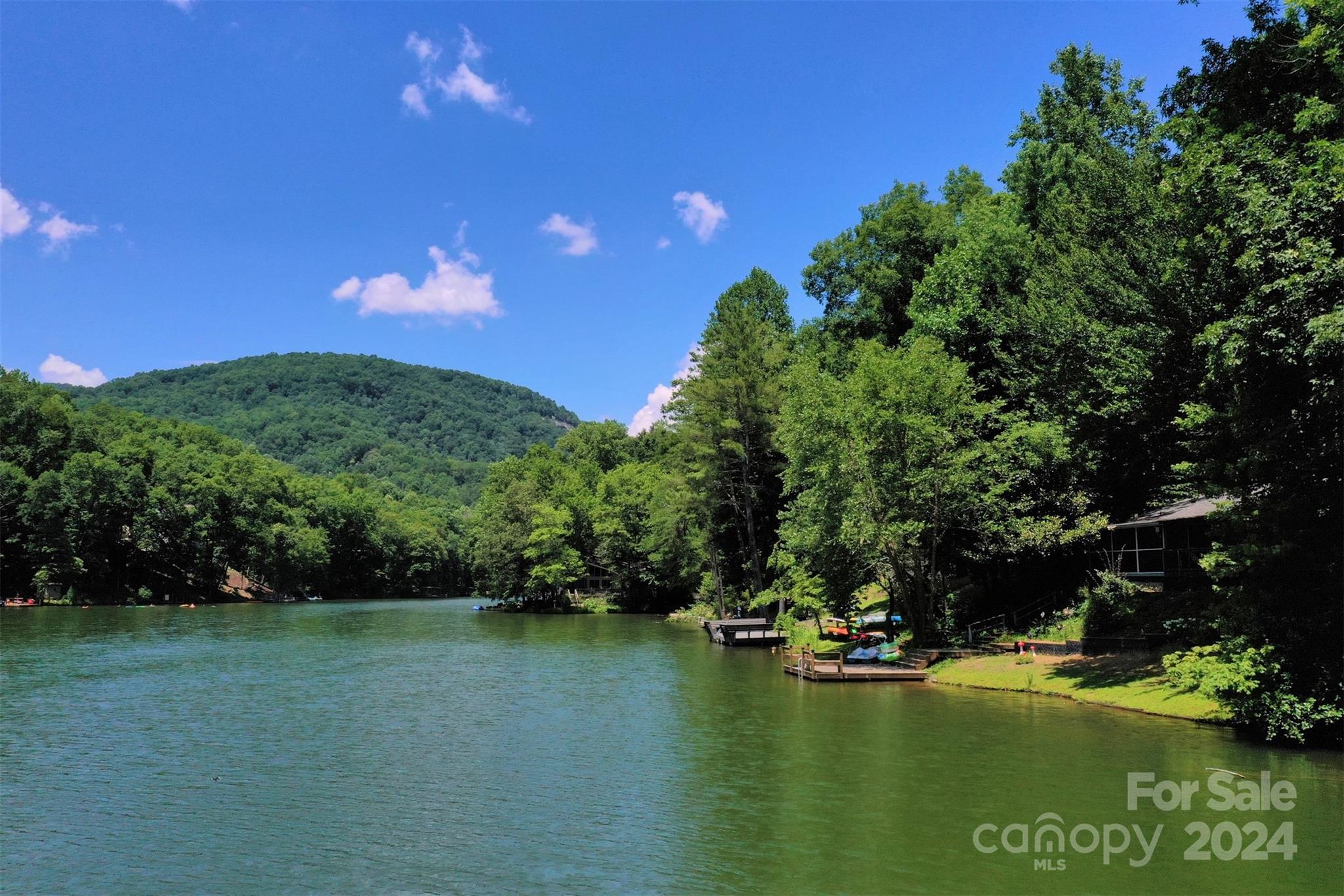 1733 Buffalo Creek Road Lake Lure NC 28746