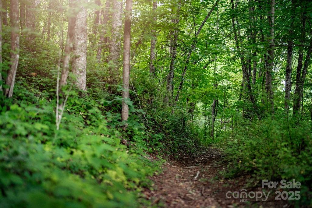 0000 West Garden Trail Hendersonville NC 28792
