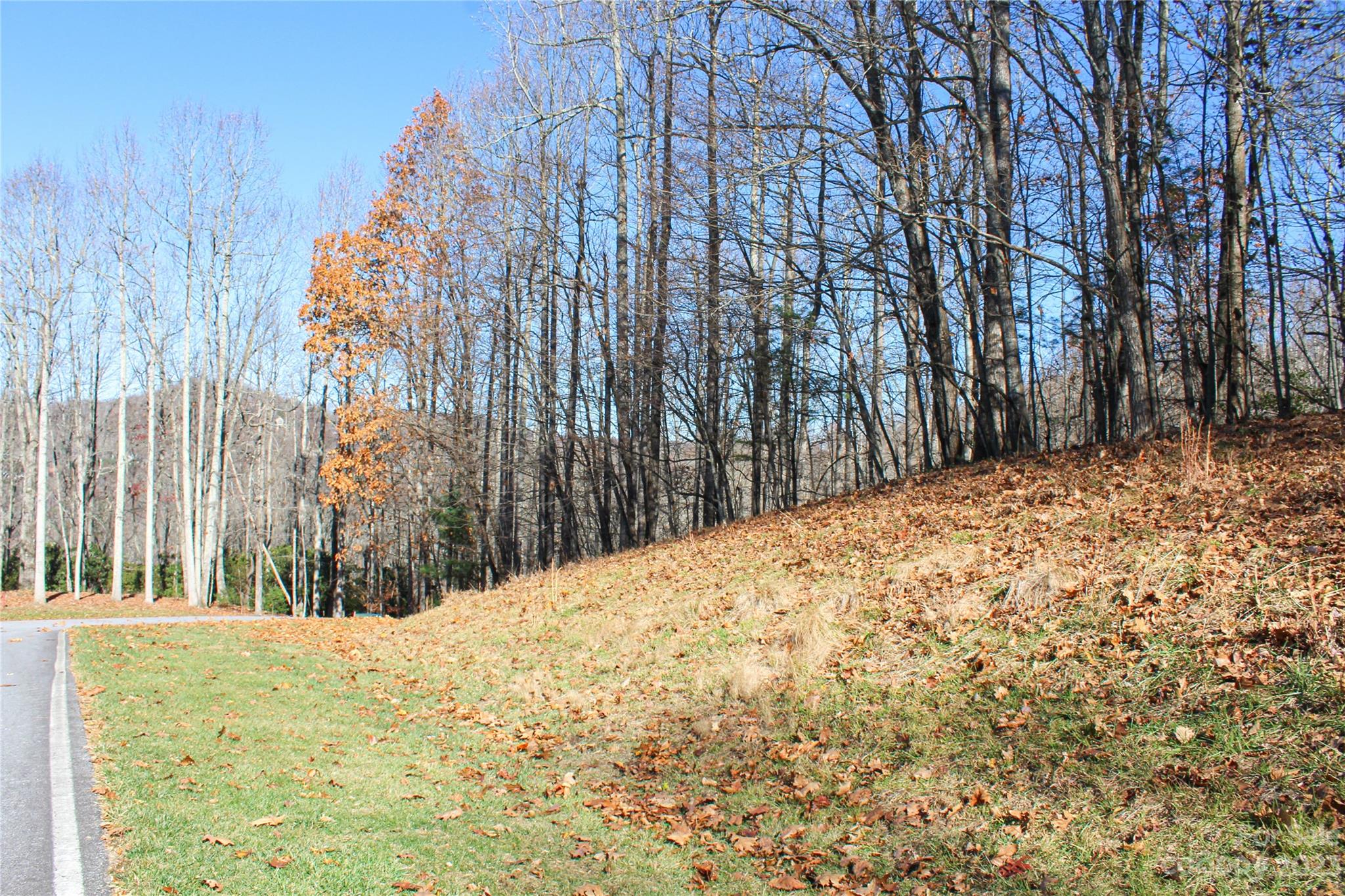74 Poplar Forest Trace Hendersonville NC 28739