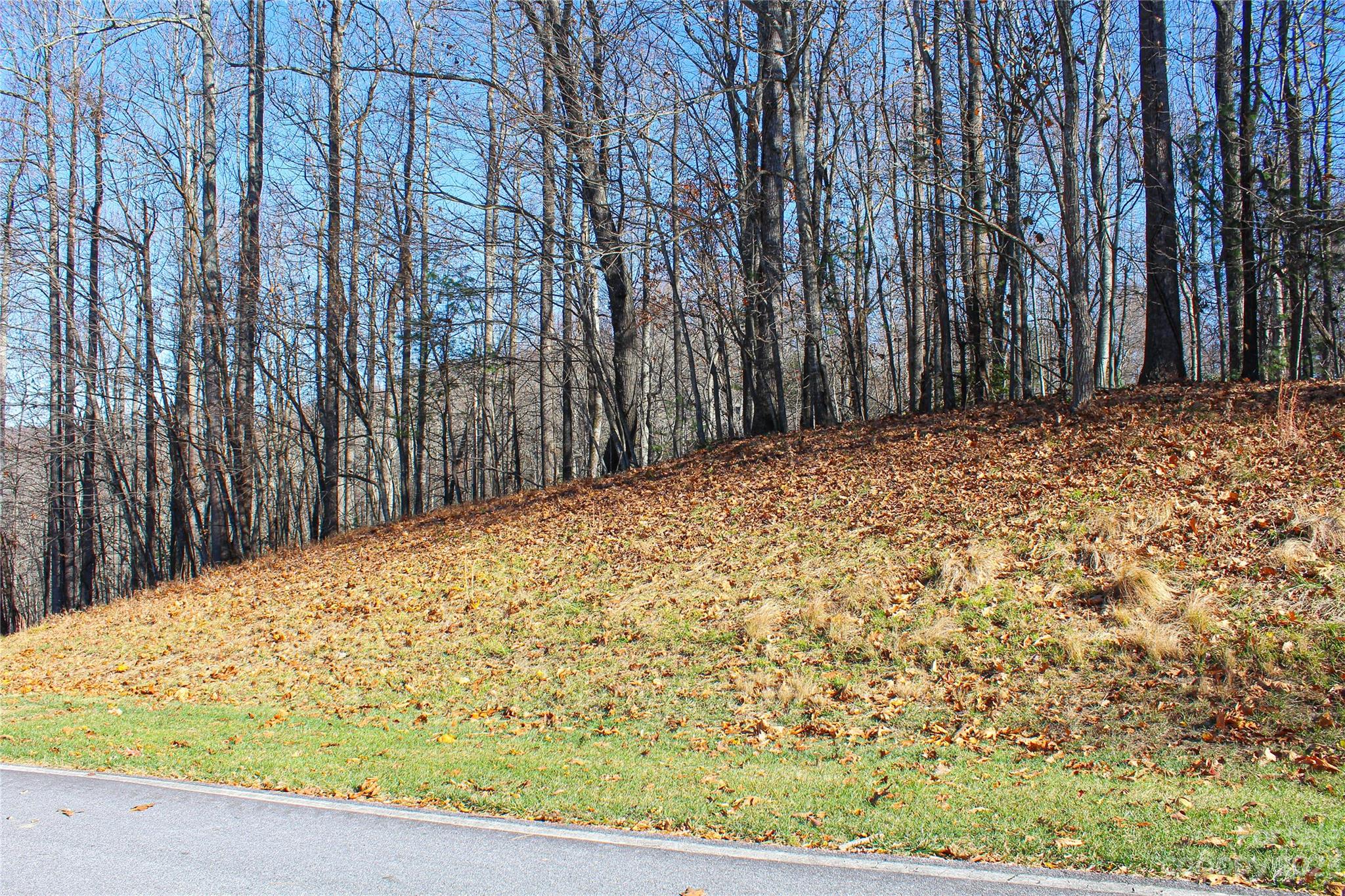 74 Poplar Forest Trace Hendersonville NC 28739