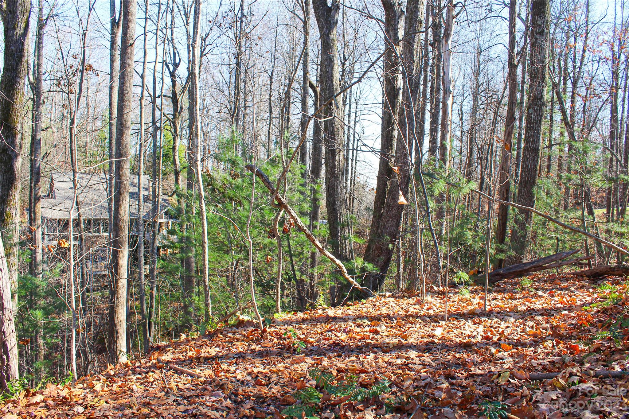 74 Poplar Forest Trace Hendersonville NC 28739
