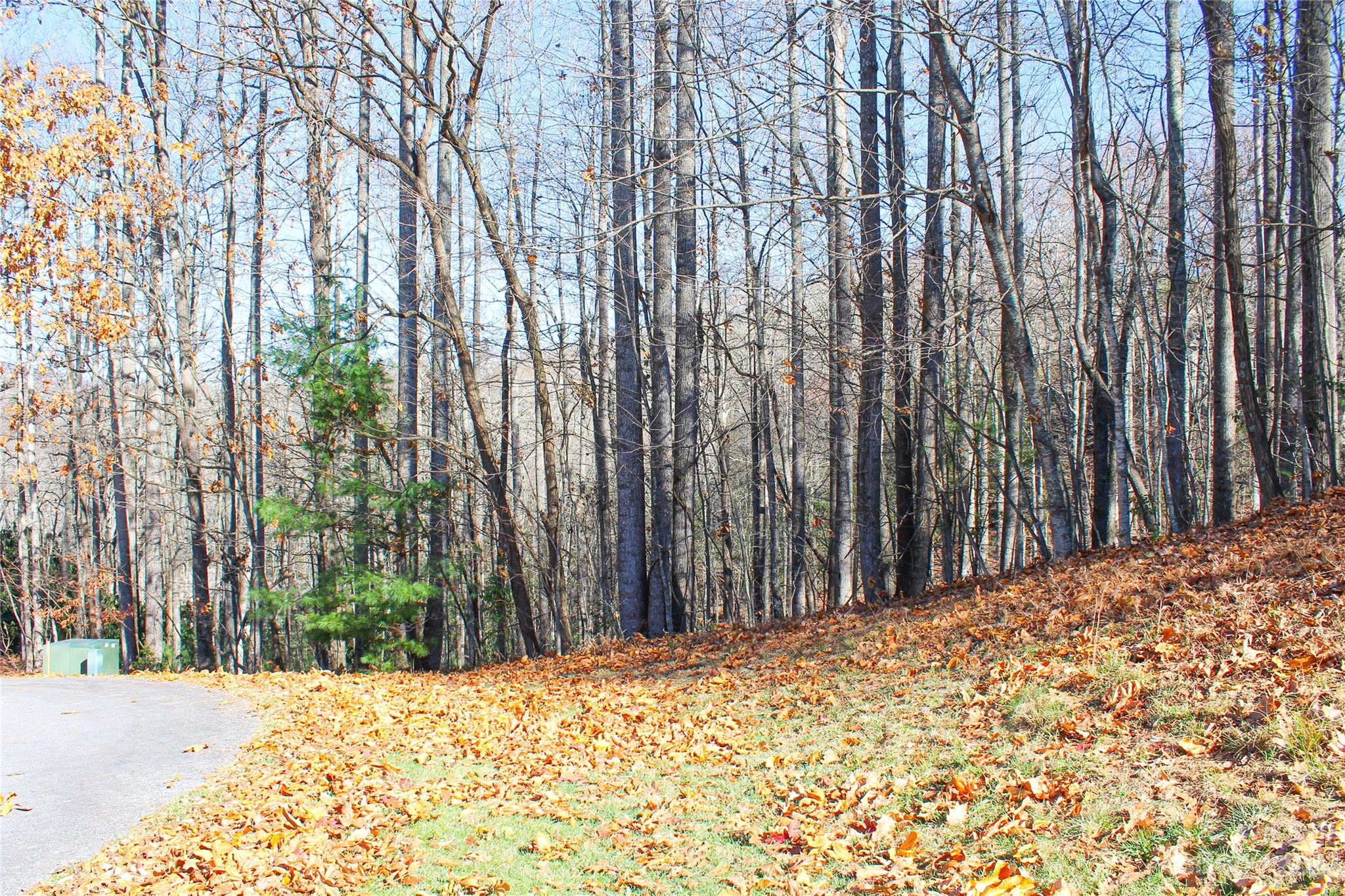 74 Poplar Forest Trace Hendersonville NC 28739