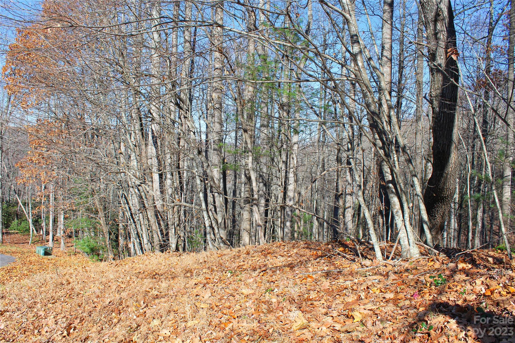 74 Poplar Forest Trace Hendersonville NC 28739