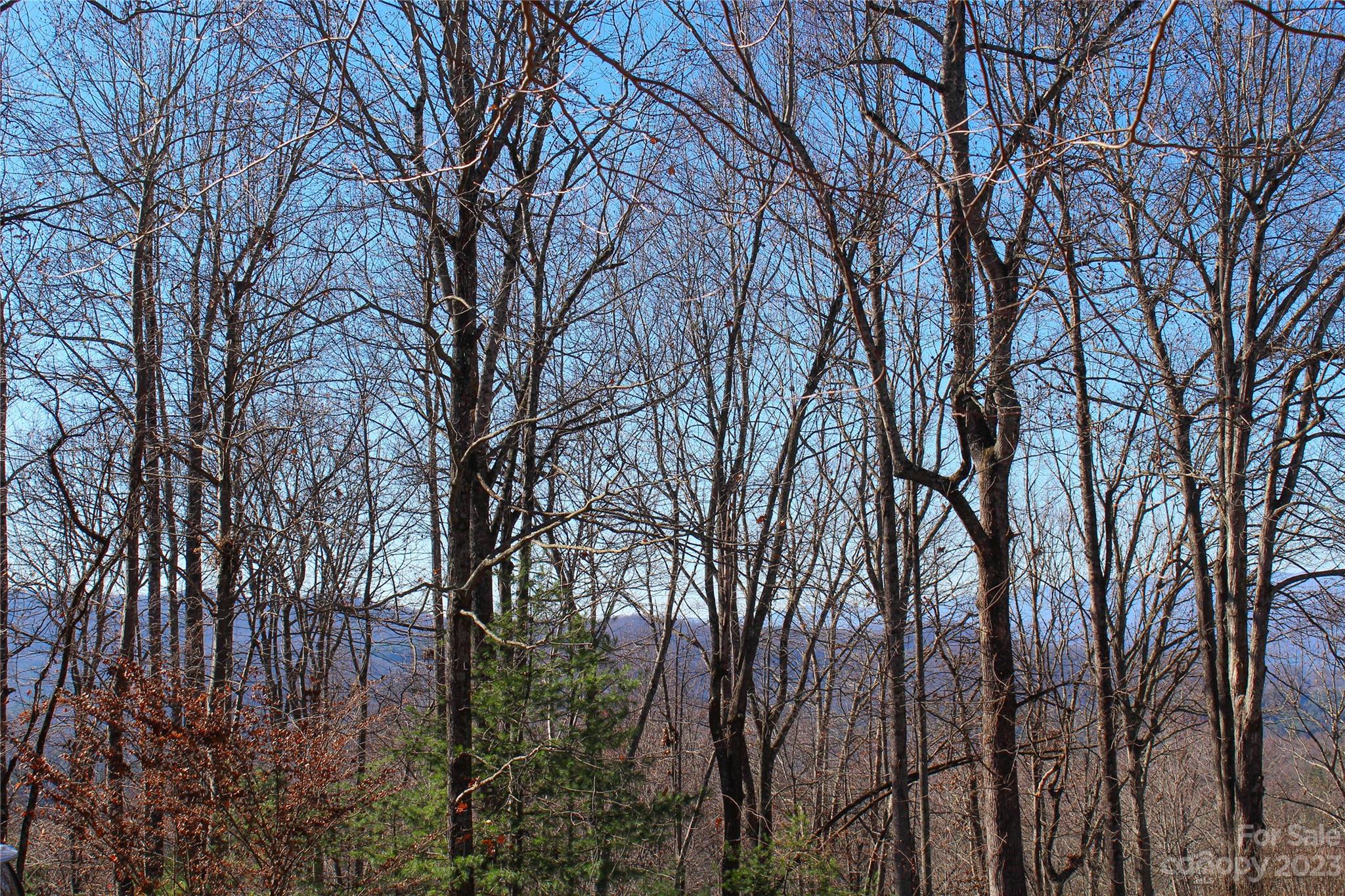 74 Poplar Forest Trace Hendersonville NC 28739