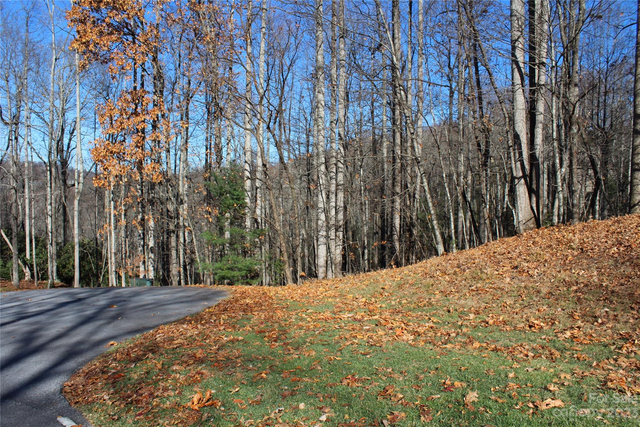 74 Poplar Forest Trace Hendersonville NC 28739