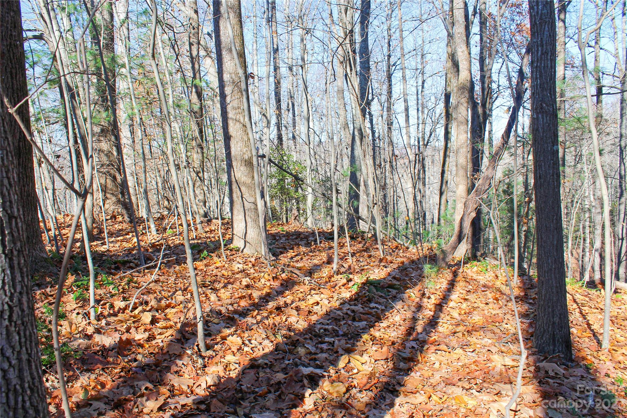74 Poplar Forest Trace Hendersonville NC 28739