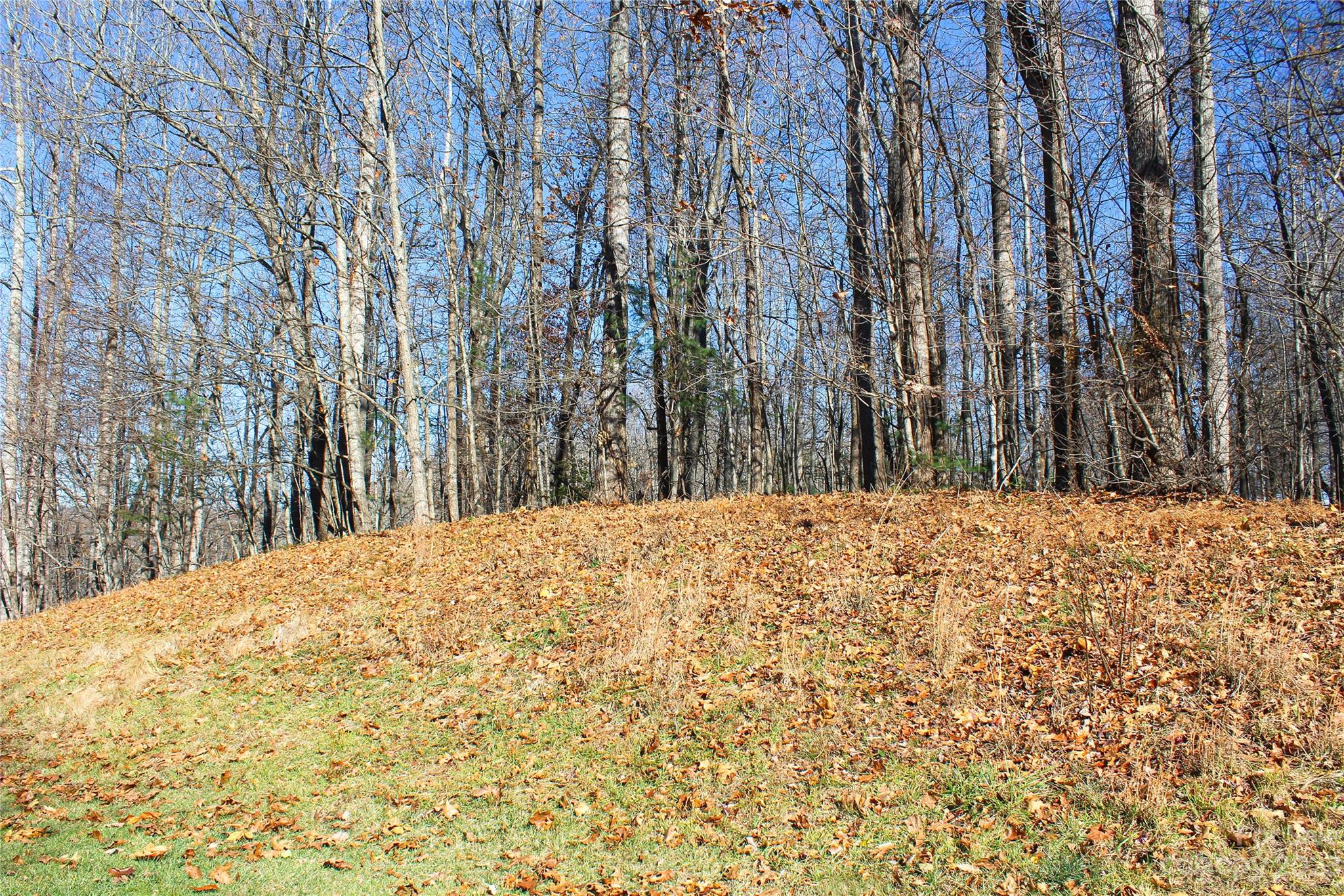 74 Poplar Forest Trace Hendersonville NC 28739