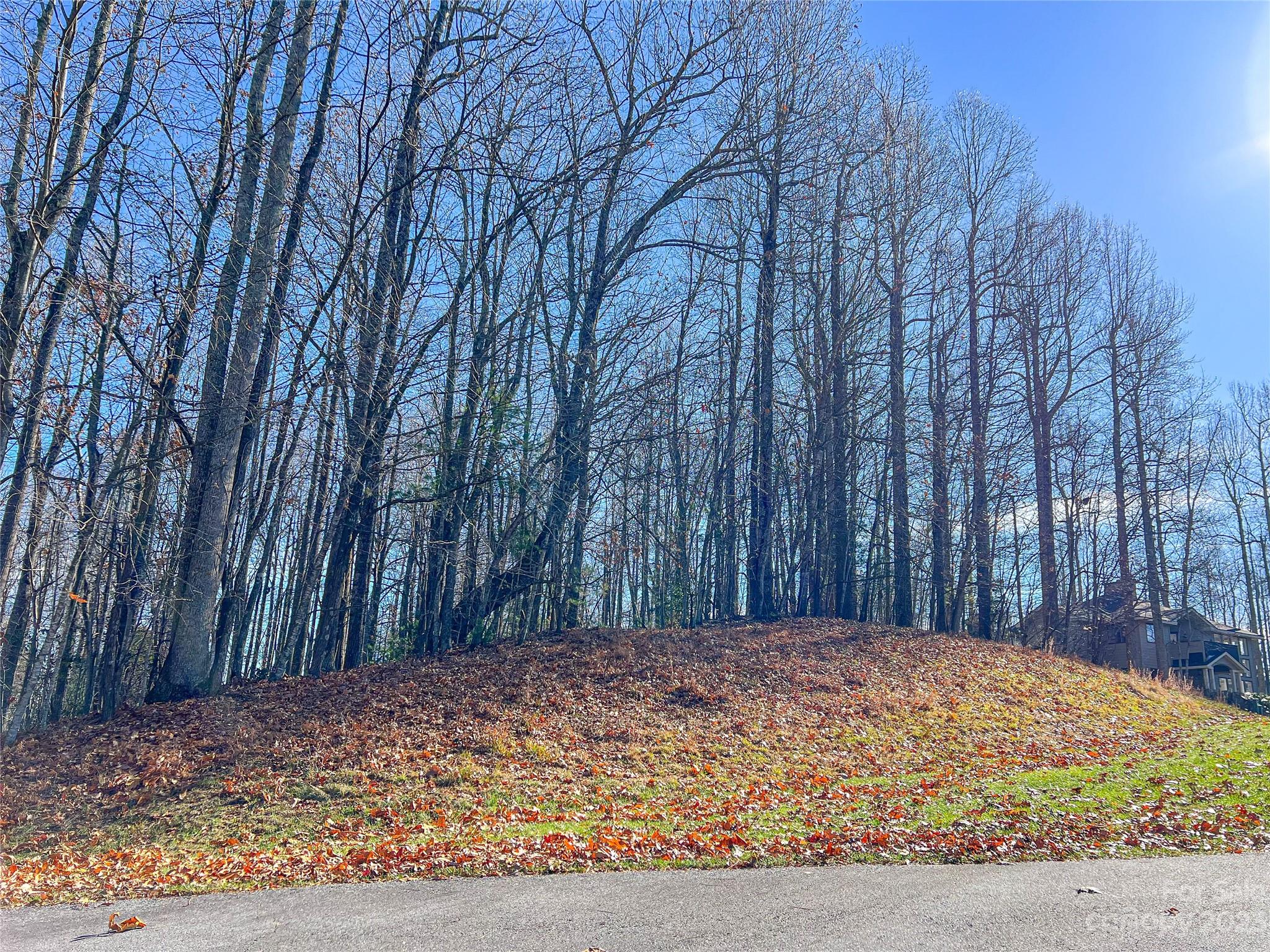 74 Poplar Forest Trace Hendersonville NC 28739