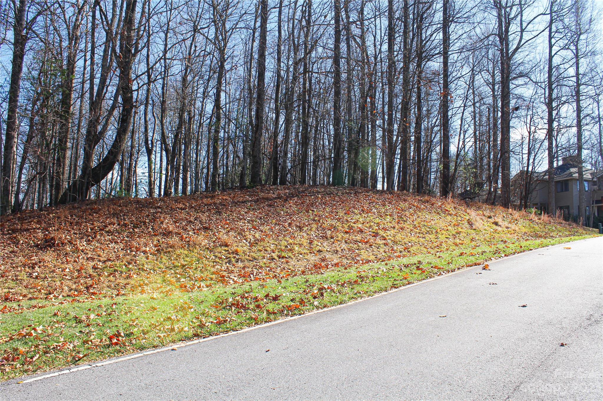 74 Poplar Forest Trace Hendersonville NC 28739