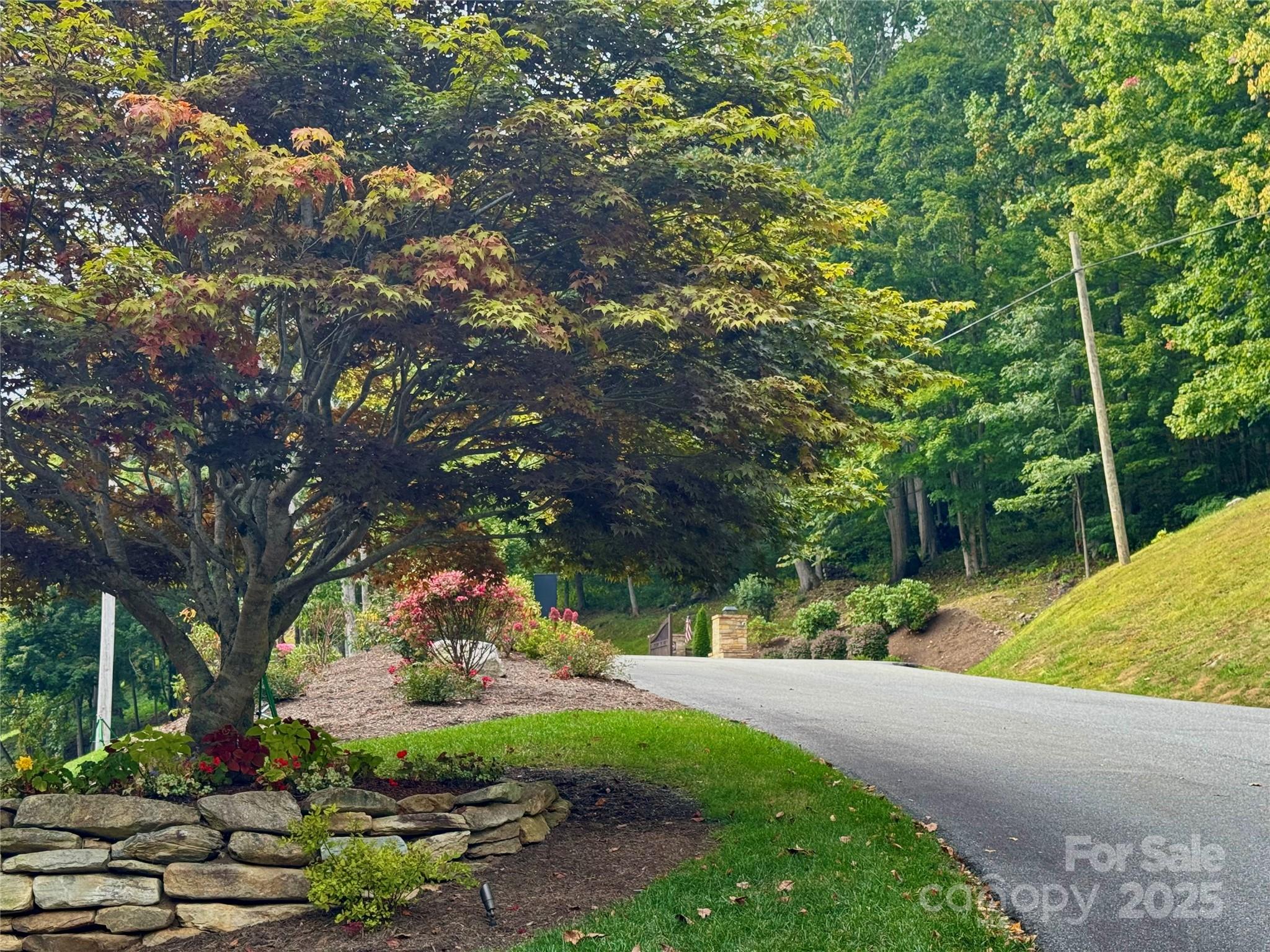 Tbd Bear Paw Road Elk Park NC 28622