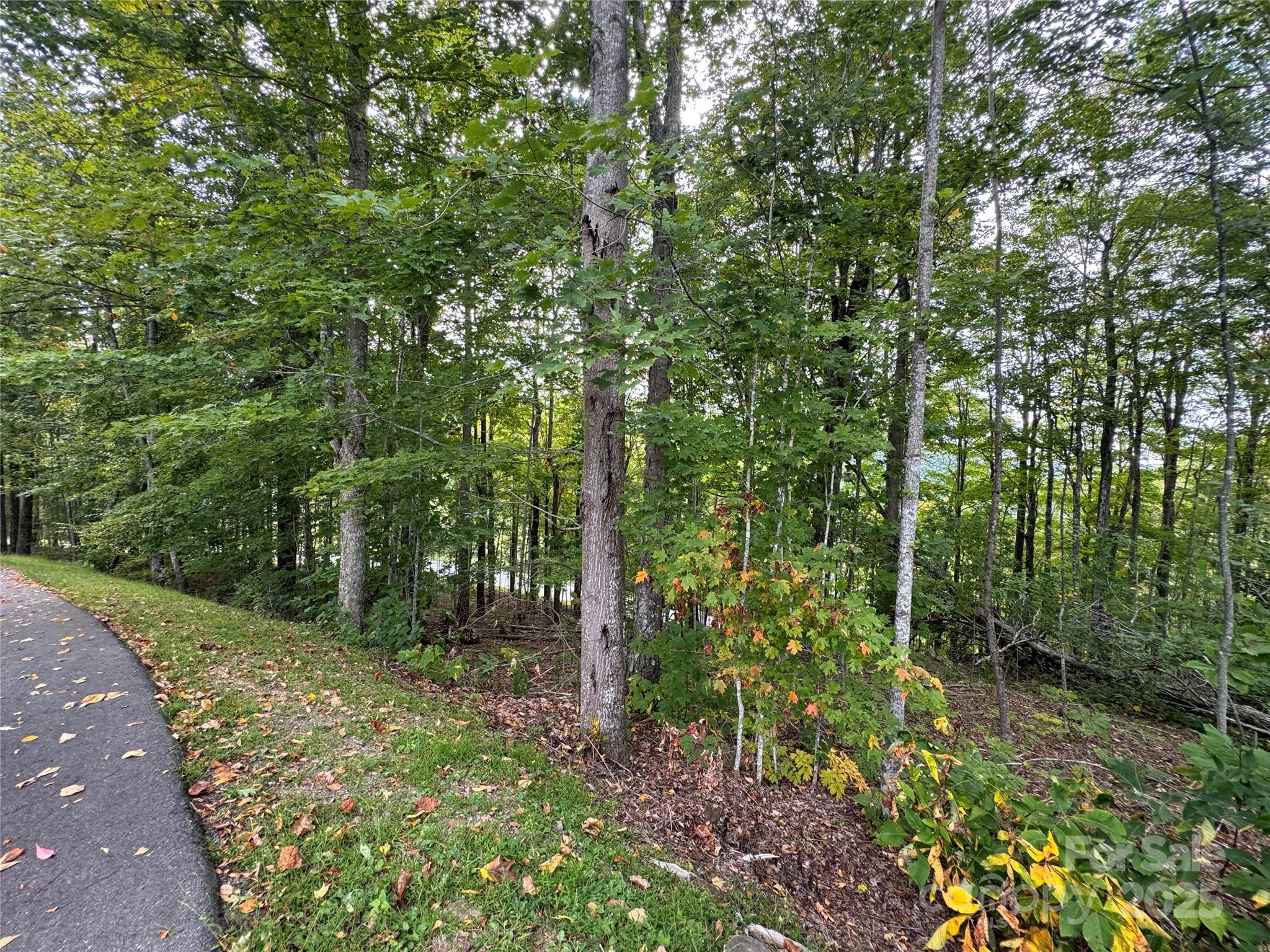 Tbd Bear Paw Road Elk Park NC 28622