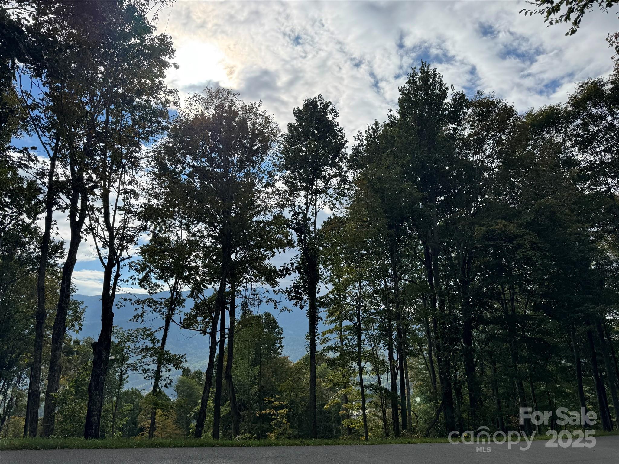 Tbd Bear Paw Road Elk Park NC 28622