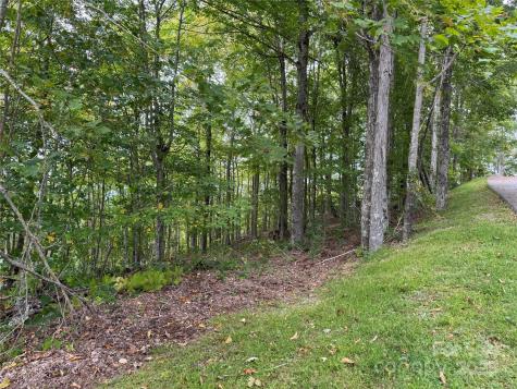 Tbd Bear Paw Road Elk Park NC 28622