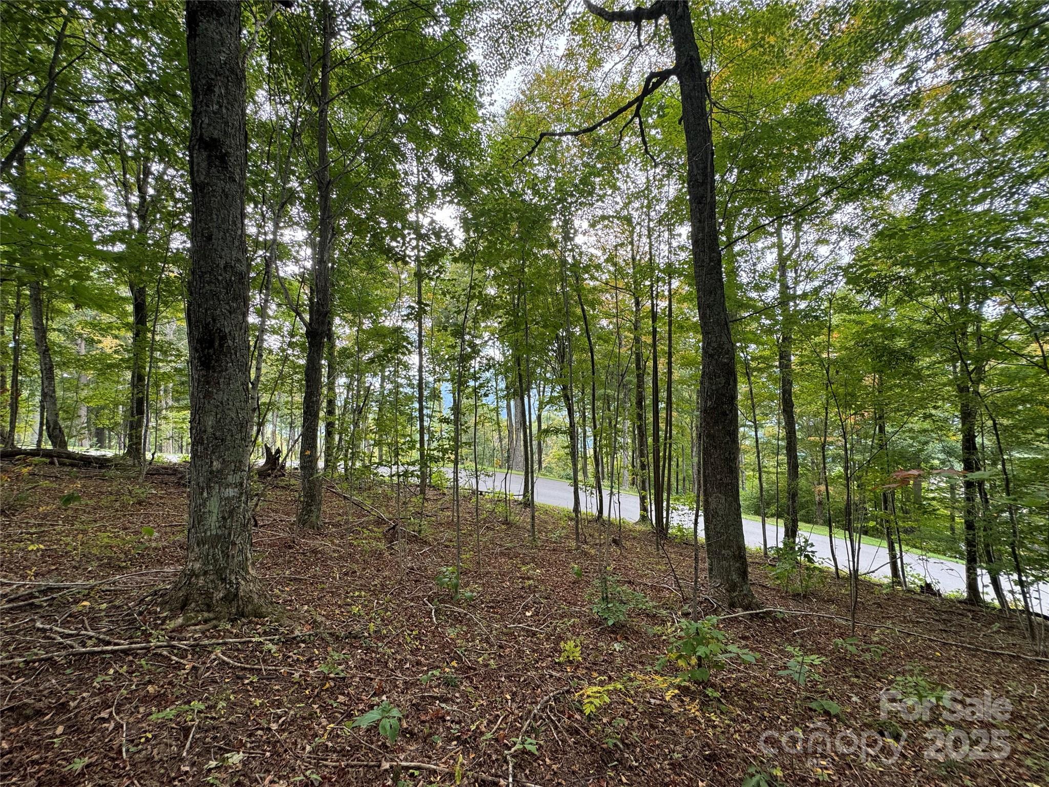 Tbd Bear Paw Road Elk Park NC 28622