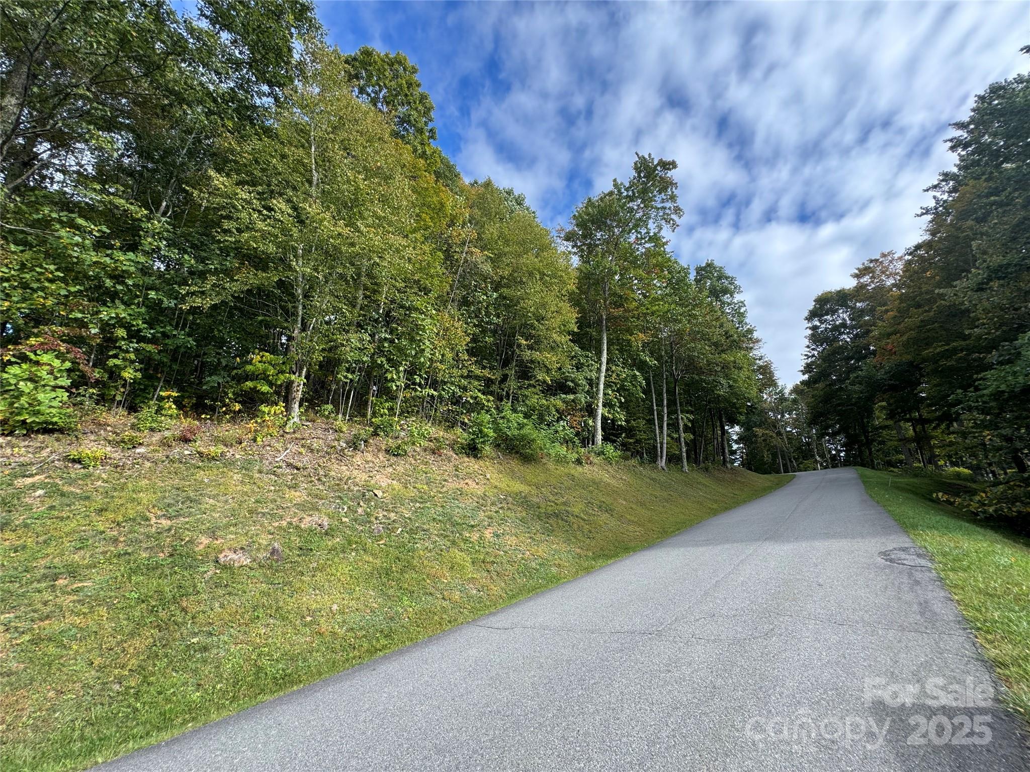 Tbd Bear Paw Road Elk Park NC 28622