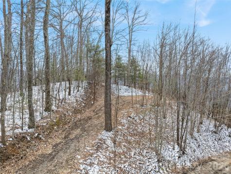 Lot #4 Viewpoint Mountain Waynesville NC 28786