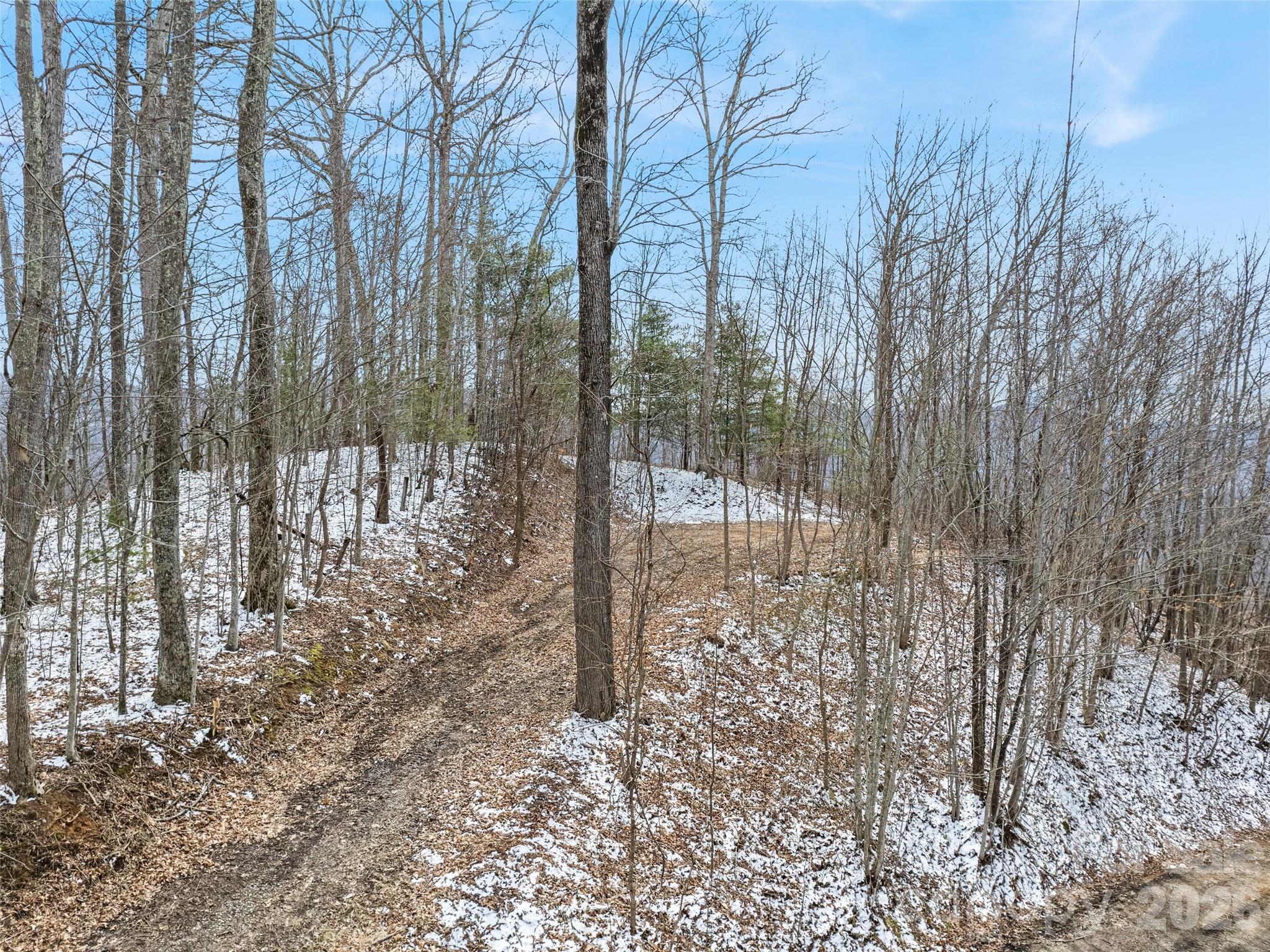 Lot #4 Viewpoint Mountain Waynesville NC 28786