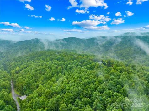 262 Feather Falls Trail Black Mountain NC 28762