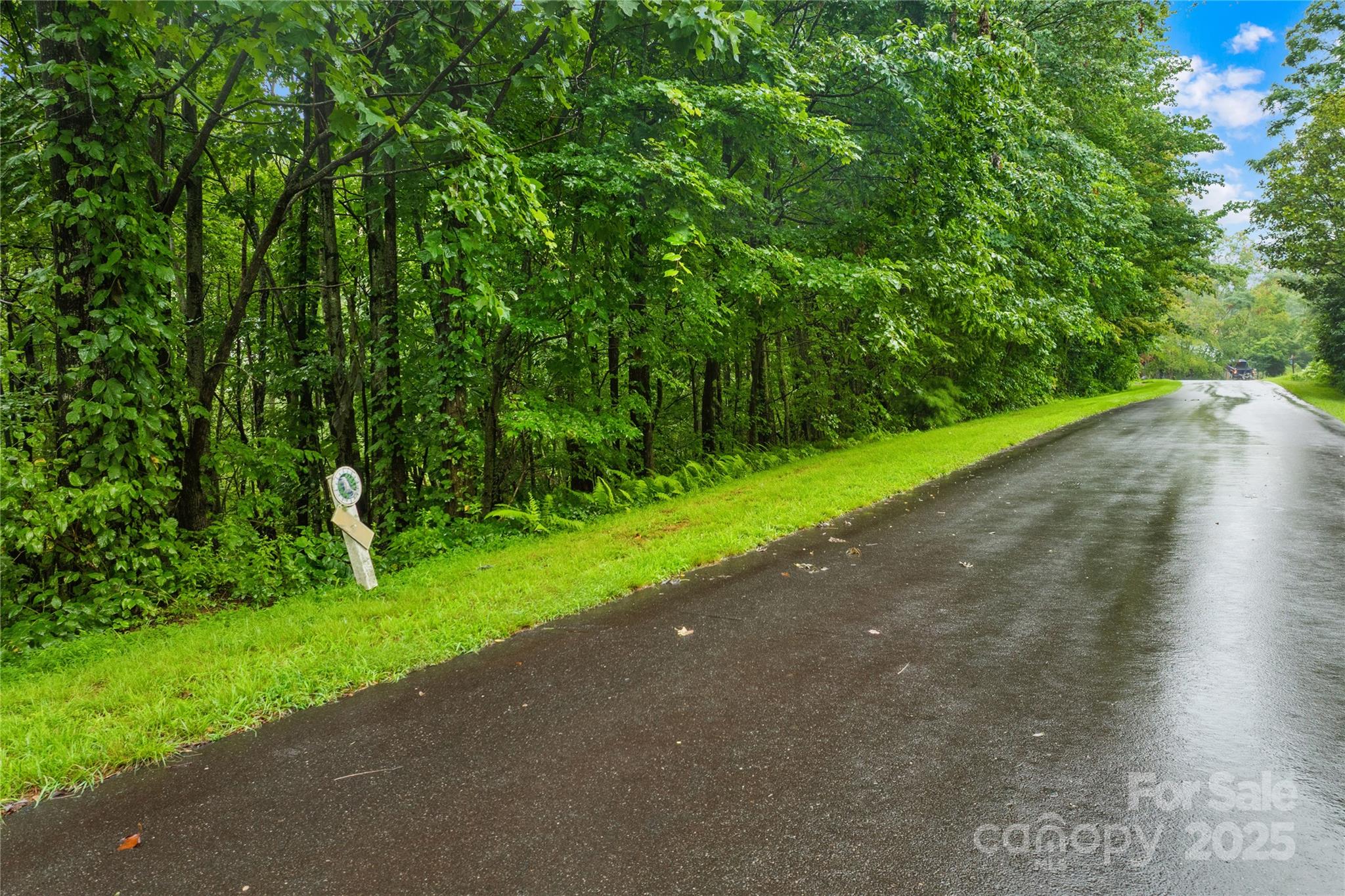 262 Feather Falls Trail Black Mountain NC 28762