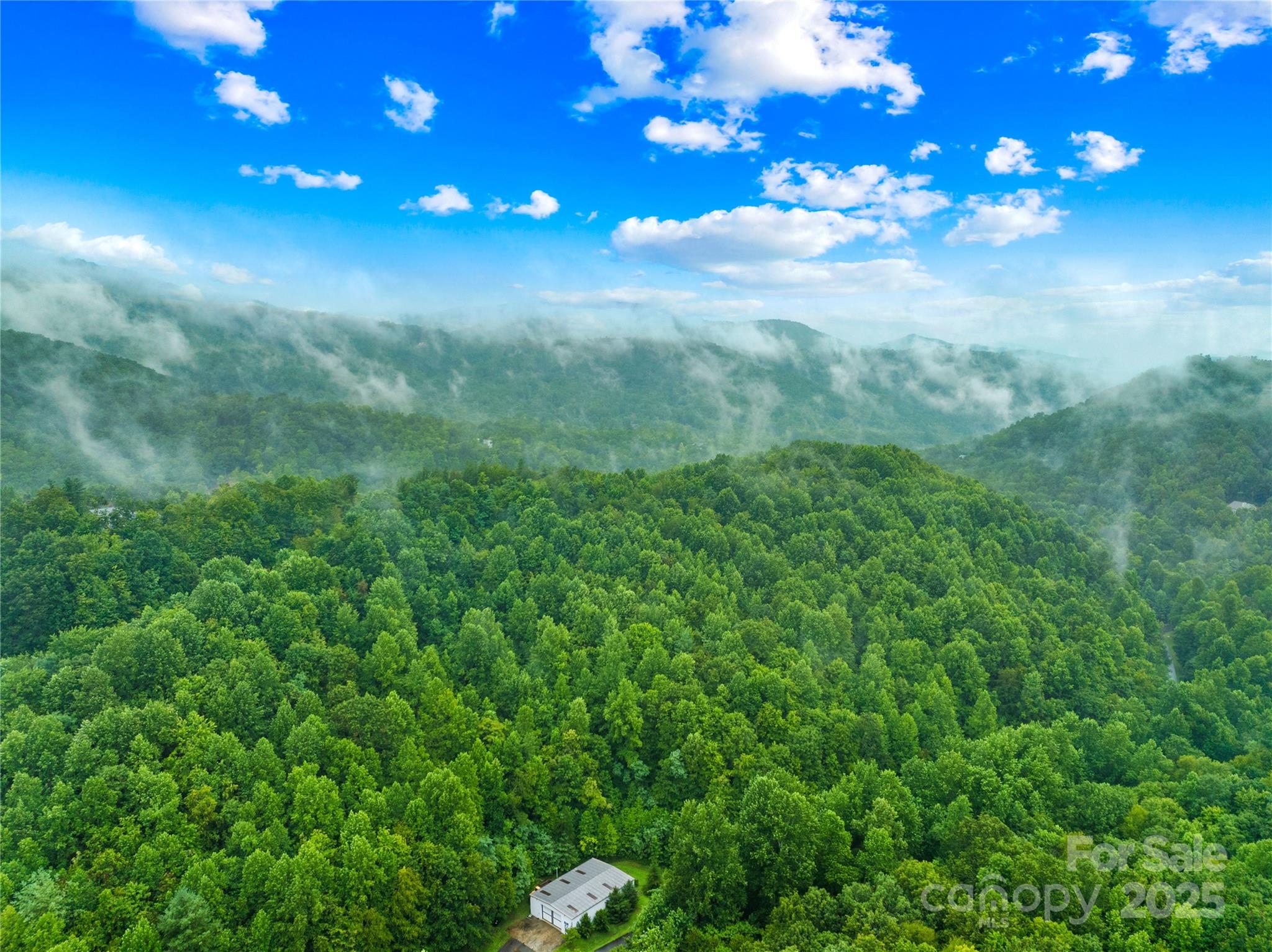 262 Feather Falls Trail Black Mountain NC 28762