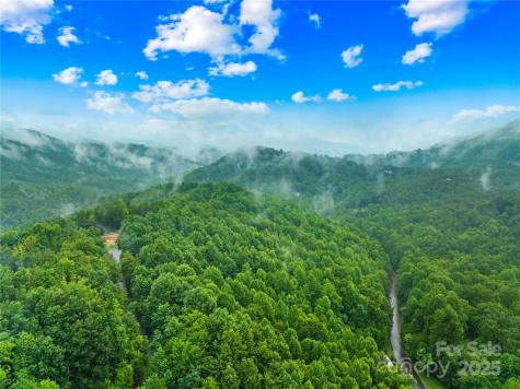 262 Feather Falls Trail Black Mountain NC 28762