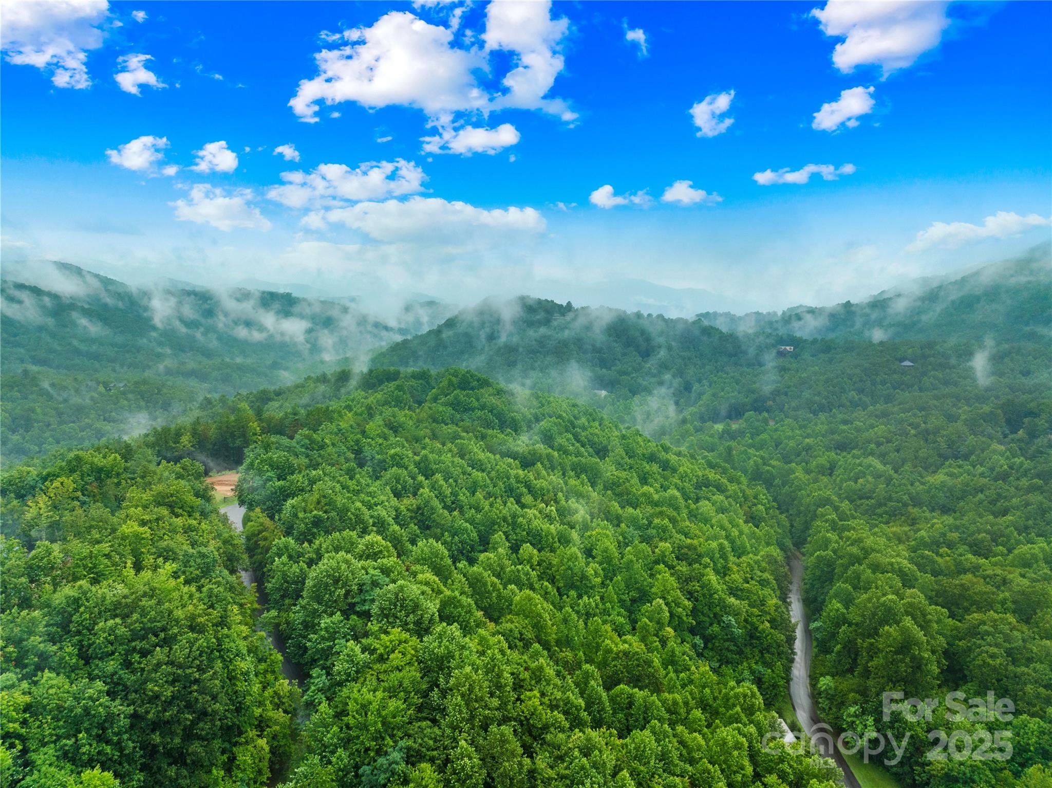 262 Feather Falls Trail Black Mountain NC 28762