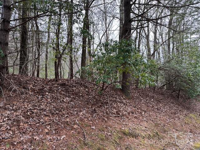 Tbd Dotsuwa Court Brevard NC 28712