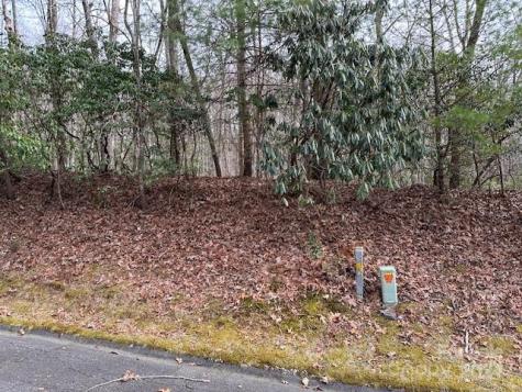 Tbd Dotsuwa Court Brevard NC 28712