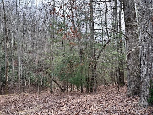 Tbd Dotsuwa Court Brevard NC 28712