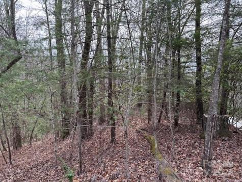 Tbd Dotsuwa Court Brevard NC 28712