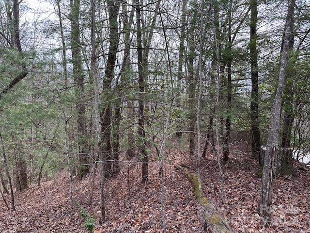Tbd Dotsuwa Court Brevard NC 28712