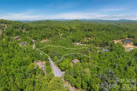 305 Freedom Trail Court Zirconia NC 28790