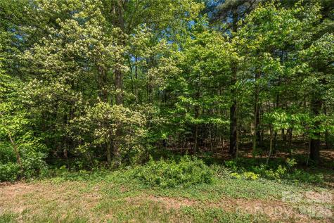 305 Freedom Trail Court Zirconia NC 28790